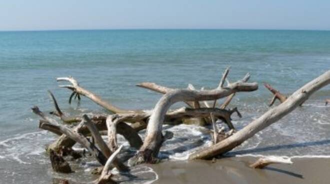 Spiaggia_mare_Toscana.jpg