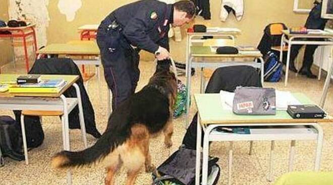 cane-antidroga-scuola.jpg