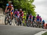 34-2012-giro-d-italia-peloton.jpg