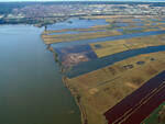 Lago_di_Massaciuccoli_-_Varie_03.jpg