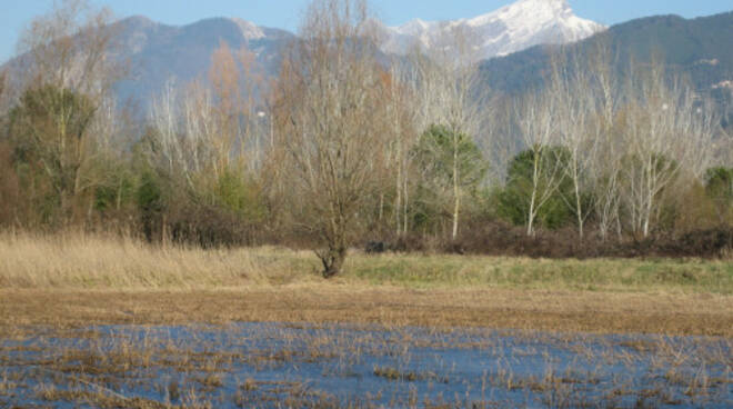 lagodiporta.jpg