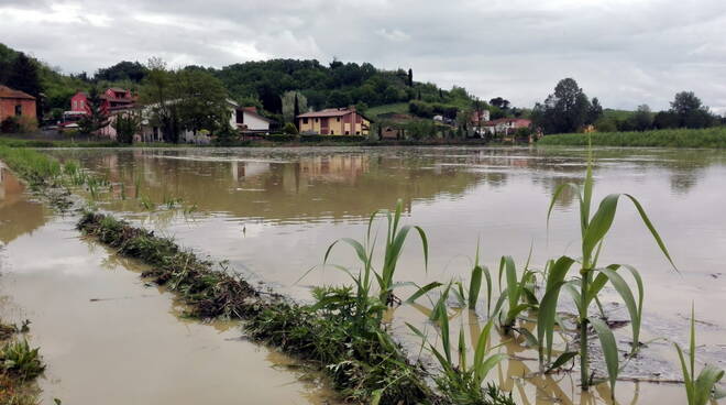 maltempo-molino-egola-san-miniato-cuoio-in-diretta_5.jpg