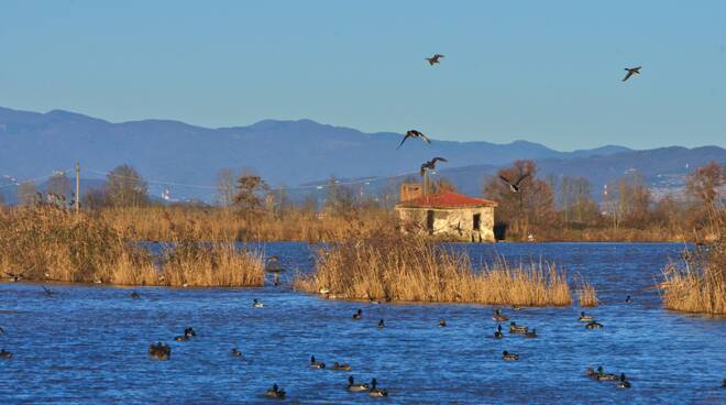 lago_della_gherardesca-1.jpg