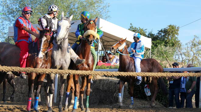 palio_di_fucecchio_2017_21.jpg