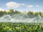 irrigazione-campi-irrigati-by-deyan-georgiev-fotolia-750x562.jpeg