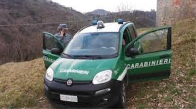 carabinieriforestali.jpg