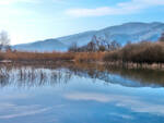 oasi-wwf-bosco-del-bottaccio.jpg