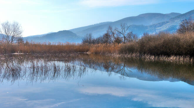 oasi-wwf-bosco-bottaccio_0_1.jpg