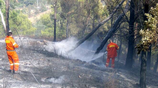 incendiobosco.jpg