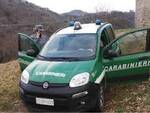 carabinieriforestali.jpg