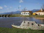 Lago_Massaciuccoli1.jpg