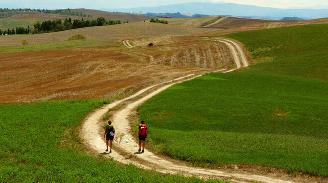 via_francigena_google_trek.jpg