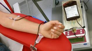 donazione-sangue-avis.jpg