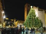 abete di Natale a Pietrasanta