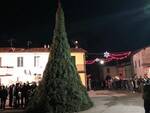 Albero acceso Camporgiano