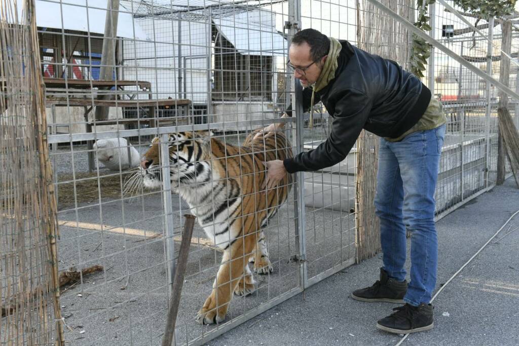 Presidio di protesta contro il circo con gli animali