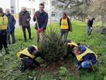 Giordano Del Chiaro scuola Nottolini Lammari alberi Natale