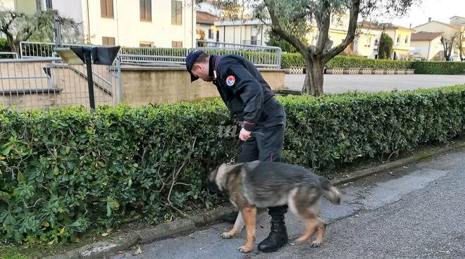 cane antidroga nucleo carabinieri san rossore pisa
