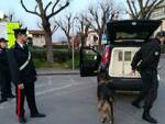 cane antidroga nucleo carabinieri san rossore pisa