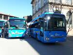 Venti nuovi autobus per la provincia di Lucca