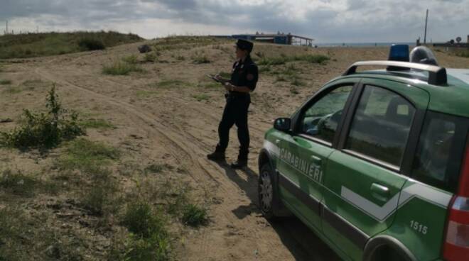 carabinieri forestali