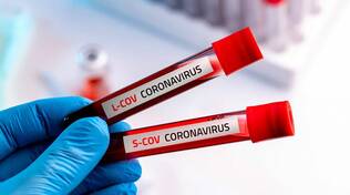 tamponi virus coronavirus controlli