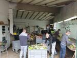 fiori Happy Porcari cimiteri chiusura donazione