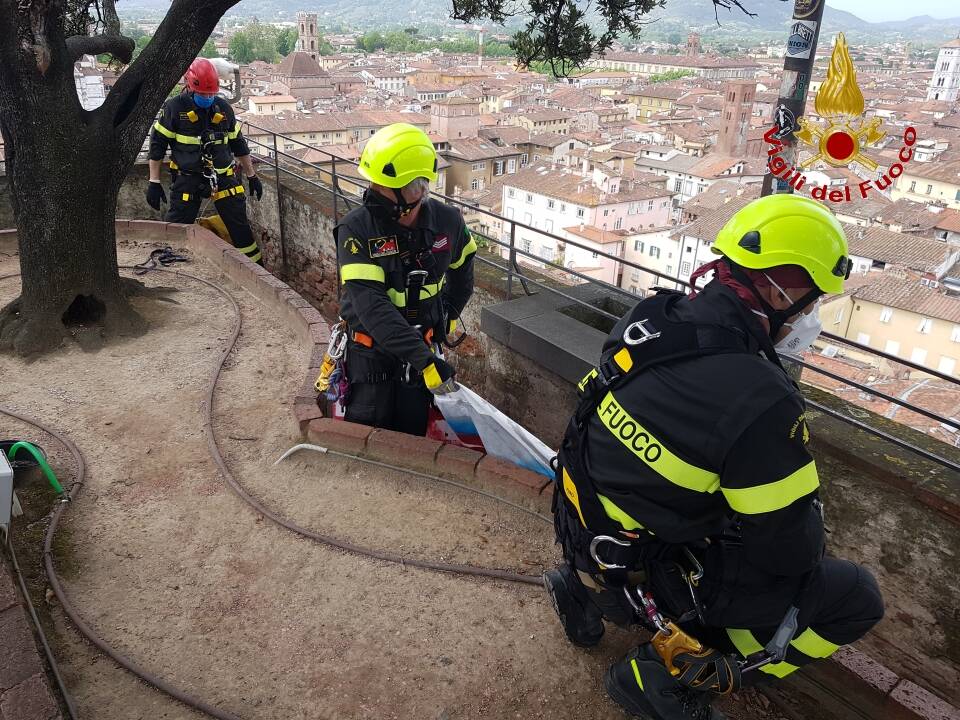 L'installazione dell'opera di Moneyless sulla Torre Guinigi