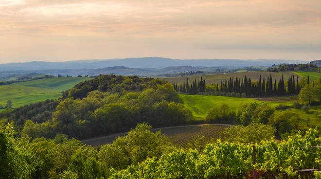 Maremma