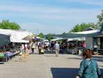 Mercato di Santa Croce sull'Arno in piazza Romero