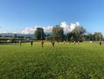 Rugby Lucca