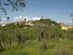 san miniato visto da moriolo