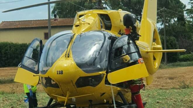 Pegaso a Castelfranco