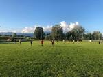 rugby lucca