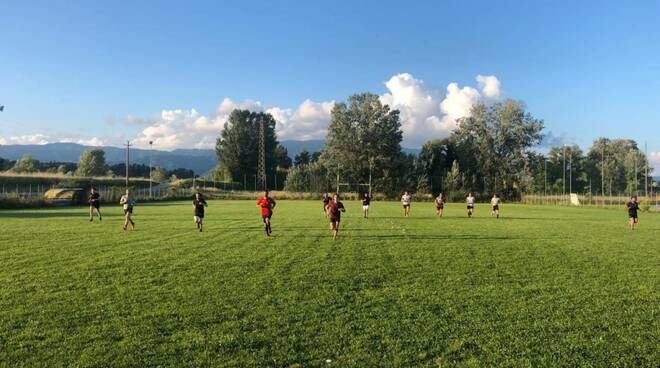 rugby lucca