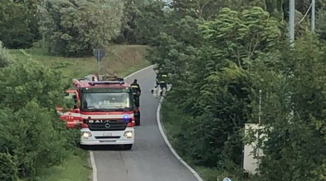 vigili del fuoco in via di stibbio per un albero caduto