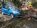 albero cade su auto a San Giuliano