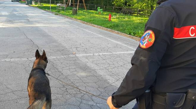 carabinieri con cani anti droga a galleno di fucecchio