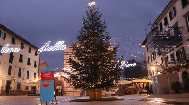 albero piazza San Francesco Natale