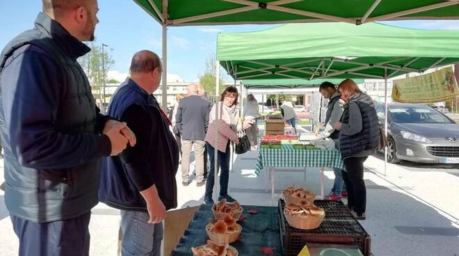 Capannori mercato piazza Aldo Moro