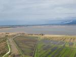 Lago di Massaciuccoli livello acqua alto