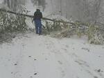 interventi Enel maltempo Garfagnana