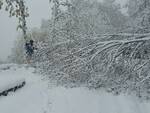 Maltempo Garfagnana lavoro Enel