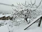 Neve alle Seimiglia Camaiore