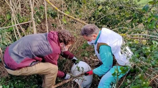 Volontari e migranti per la pulizia partecipata delle oasi di Bottaccio, Tanali e Lago della Gherardesca