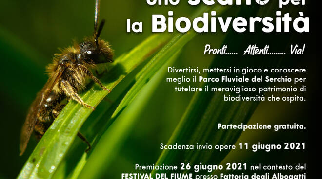 concorso parco fluviale