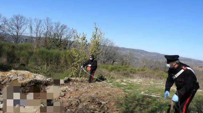 discarica pelli di agnello