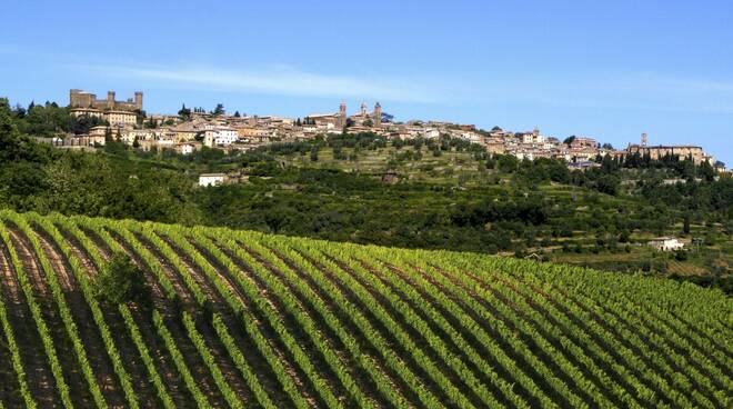 Fabrizio Bindocci presidente consorzio Brunello di Montalcino