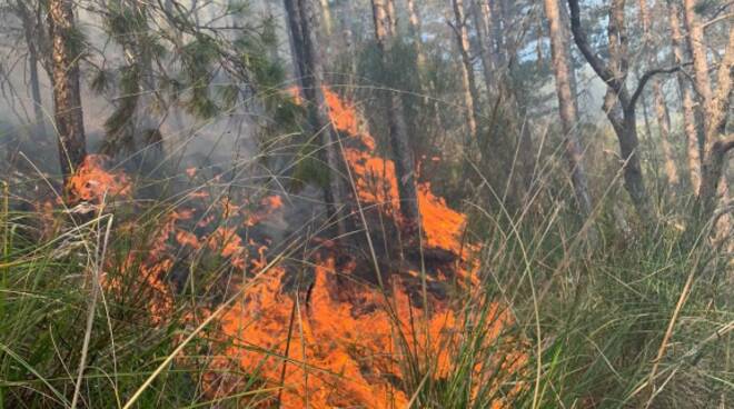 incendio boschivo a seggiano