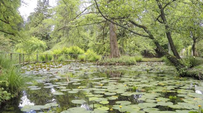 orto botanico